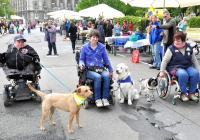 Die Hunde für Handicaps Akteure