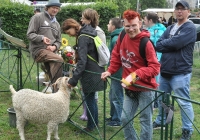 Foto Besucher bei Mini-­‐Zoo „Rollende Arche"