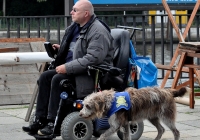 Foto mobilitätseingeschränkter Besucher mit Begleithund